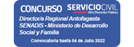 Concurso ADP Director/a Regional de Antofagasta Servicio Nacional de la Discapacidad