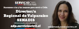Concurso ADP Director/a Regional de Valparaíso Servicio Nacional de la Discapacidad