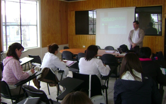 Director Regional de Senadis Magallanes realiza capacitación de fondos concursables 2012
