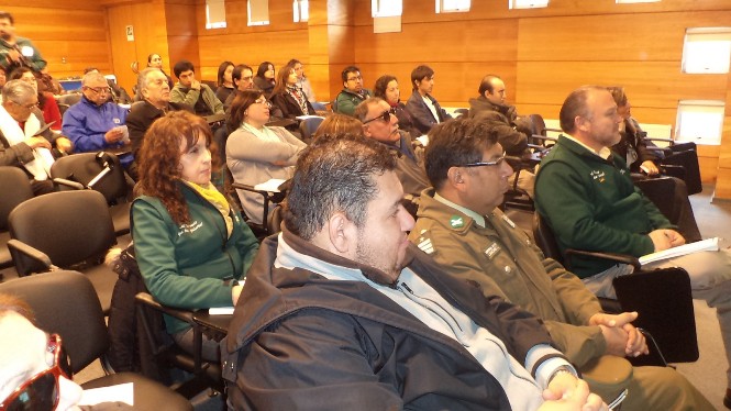 Público asistente a la jornada de difusión de la Ley N°20.422 realizada en Temuco