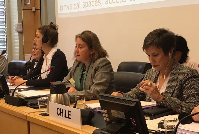 Subsecretaria de Evaluación Social, Heidi Berner, en presentación del examen de Chile ante la ONU