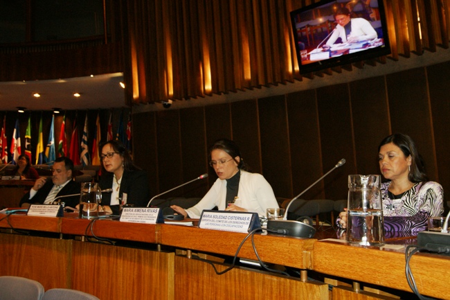 María Ximena Rivas, Directora Nacional del Senadis, en reunión de especialistas de Cepal.