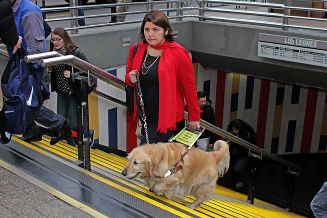 Mujer acompañada por su perro de asistencia. 