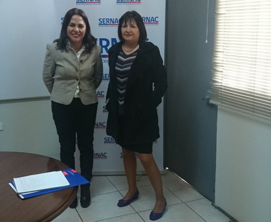Senadis y Sernac de Arica establecen trabajo coordinado en beneficio de las personas en situaciÃ³n de discapacidad